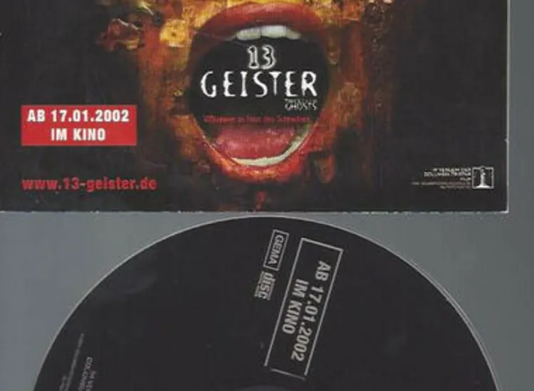 CD--RADIO-AUDIO PRESSKIT-PROMO-13 GEISTER ansehen