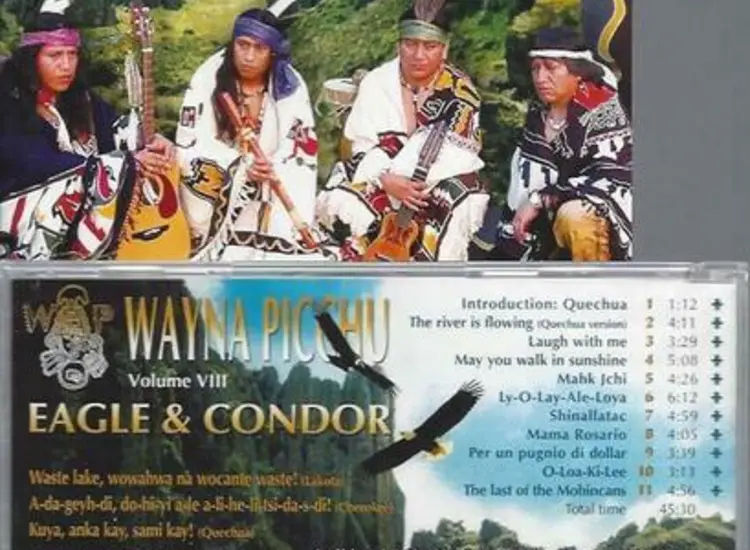 CD -- Wayna Picchu VIII ansehen