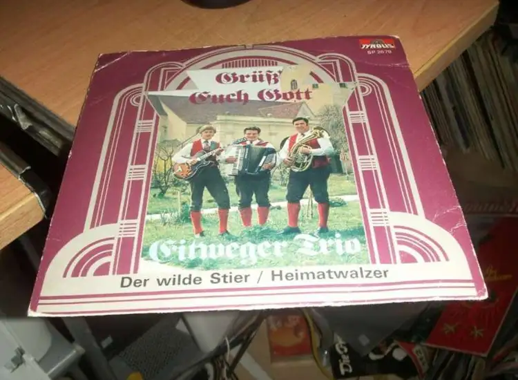 SINGLE EITWEGER TRIO DER WILDE STIER VOLKSMUSIK ansehen