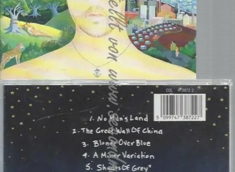 CD--BILLY JOEL--RIVER OF DREAMS ansehen