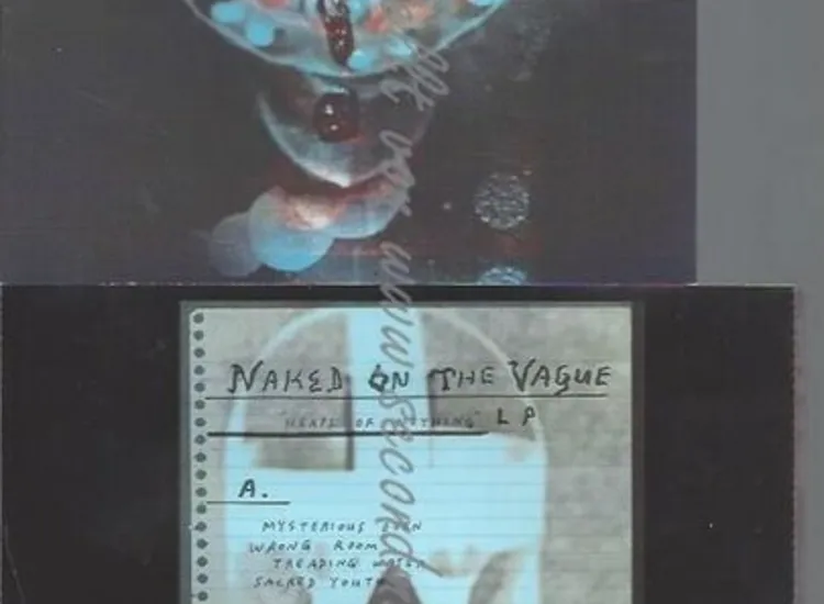 CD--NAKED ON THE VAGUE--HEAPS OF NOTHING | IMPORT ansehen