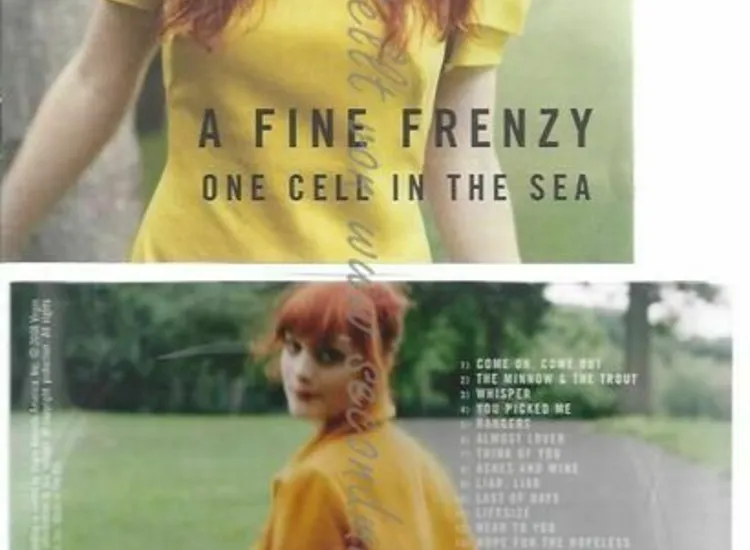 CD-- A FINE FRENZY  --ONE CELL IN THE SEA ansehen