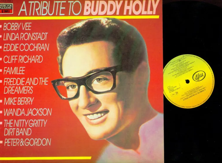 LP- Various -A Tribute To Buddy Holly--1583681 ansehen