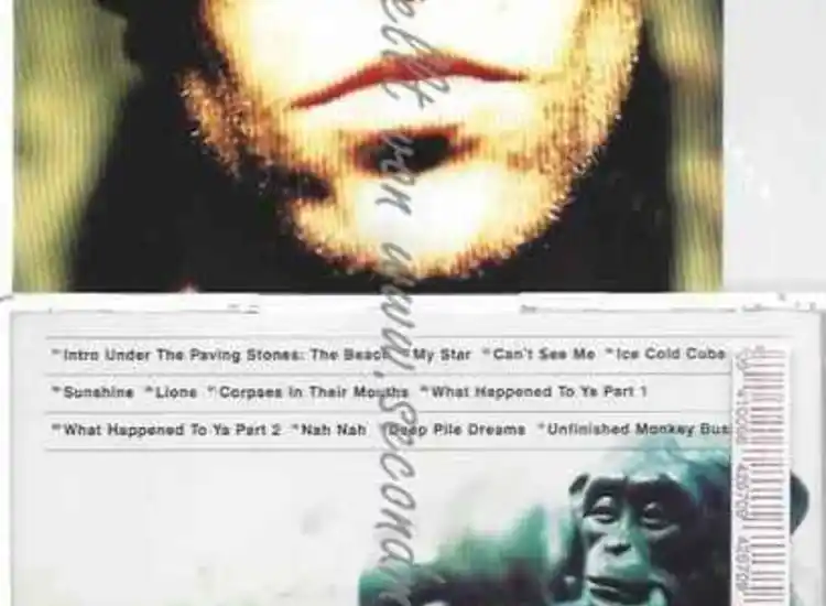 CD--IAN BROWN | --UNFINISHED MONKEY BUSINESS ansehen