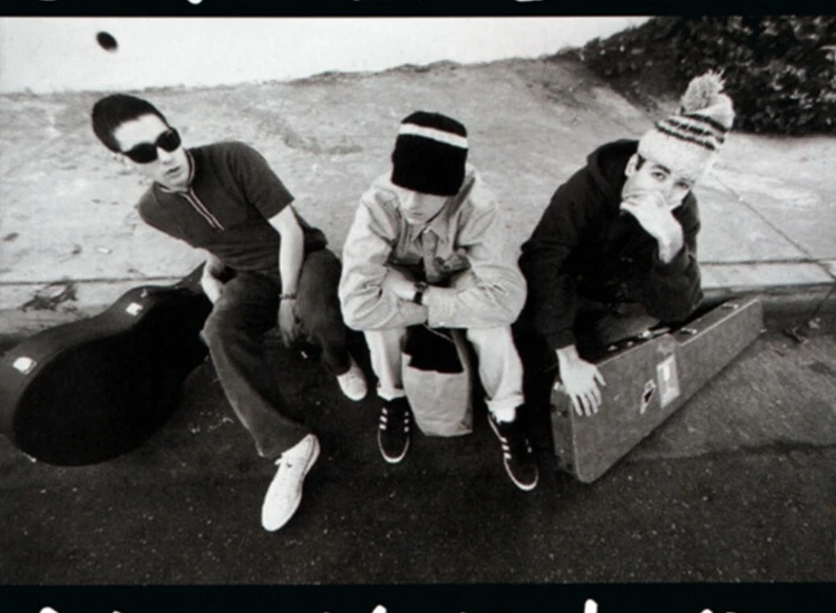 CD, Album Beastie Boys - Check Your Head ansehen
