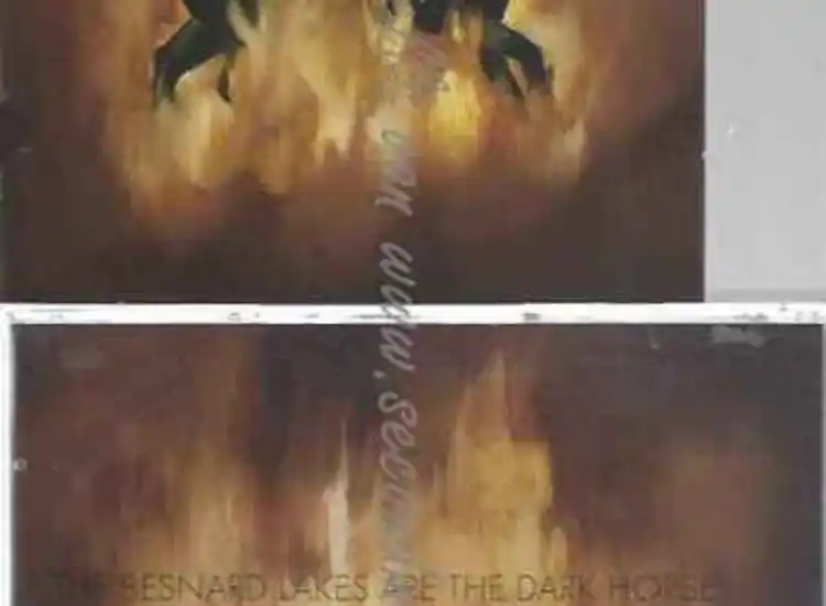 CD--THE BESNARD LAKES | --ARE THE DARK HORSE ansehen