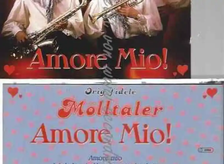 CD--DIE FIDELEN MÖLLTALER--AMORE MIO ansehen