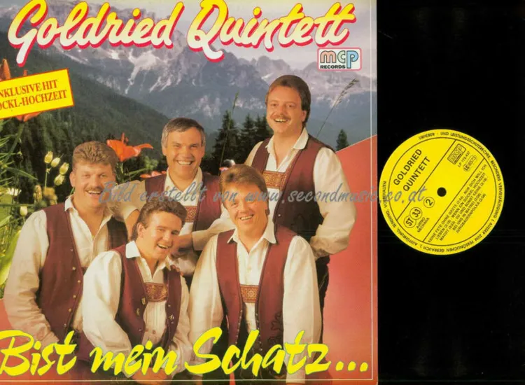 LP--Goldried Quintett – Bist Mein Schatz...  /  NM ansehen