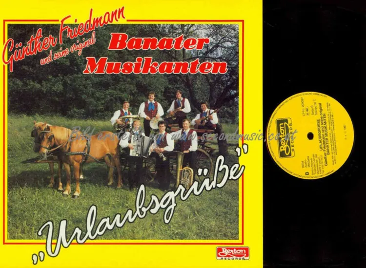 LP--Günther Friedmann Original Banater Musikanten -Urlaubsgrüße   //  NM ansehen