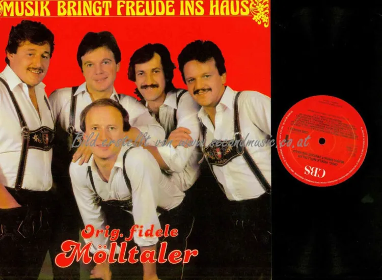 LP-- Die Fidelen Mölltaler --  Musik bringt Freude ins Haus  // NM ansehen