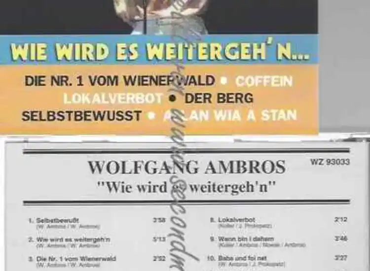 CD--WOLFGANG AMBROS--WIE WIRD ES WEITERGEH´N - ID.  - ansehen