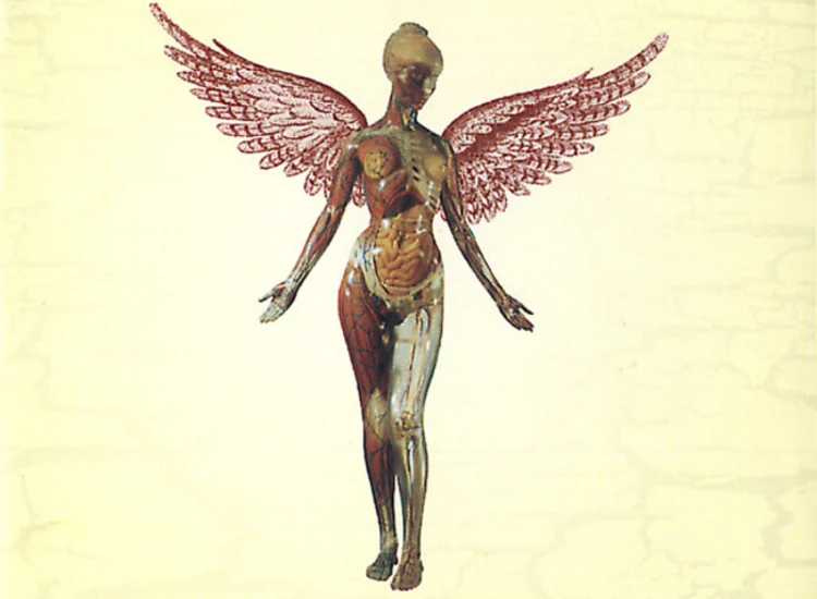 CD, Album, MPO Nirvana - In Utero ansehen