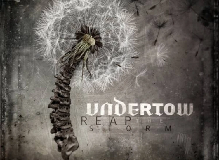 CD, Album Undertow (3) - Reap the Storm ansehen