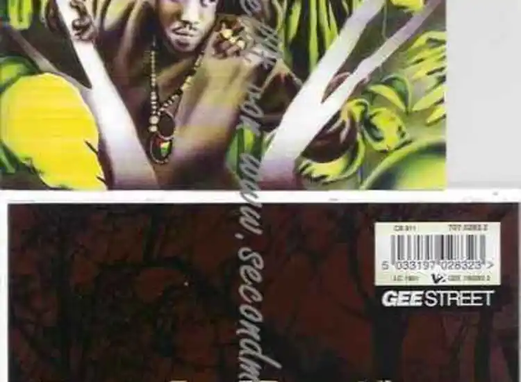 CD--Jungle Brothers | --Straight Out The Jungle ansehen