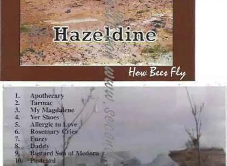 CD--Hazeldine | --How Bees Fly ansehen