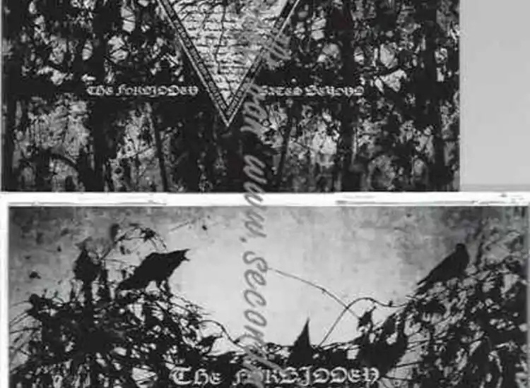 CD--Black September--The Forbidden Gates Beyond ansehen