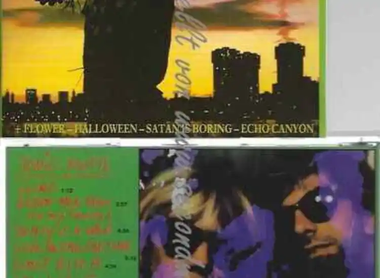 CD--Sonic Youth | --Bad Moon Rising ansehen