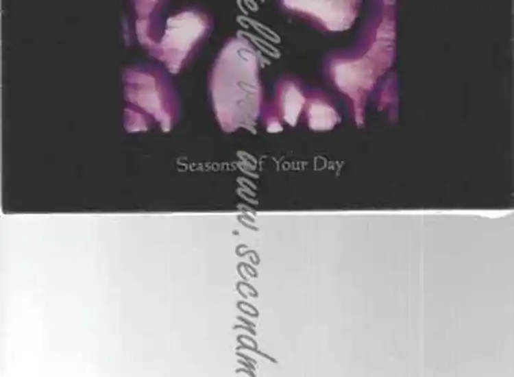 CD--Mazzy Star--Seasons of Your Day ansehen