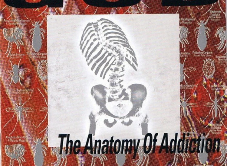 CD, Album God - The Anatomy Of Addiction ansehen