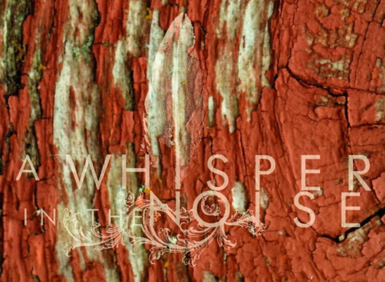 CD, Album A Whisper In The Noise - To Forget ansehen