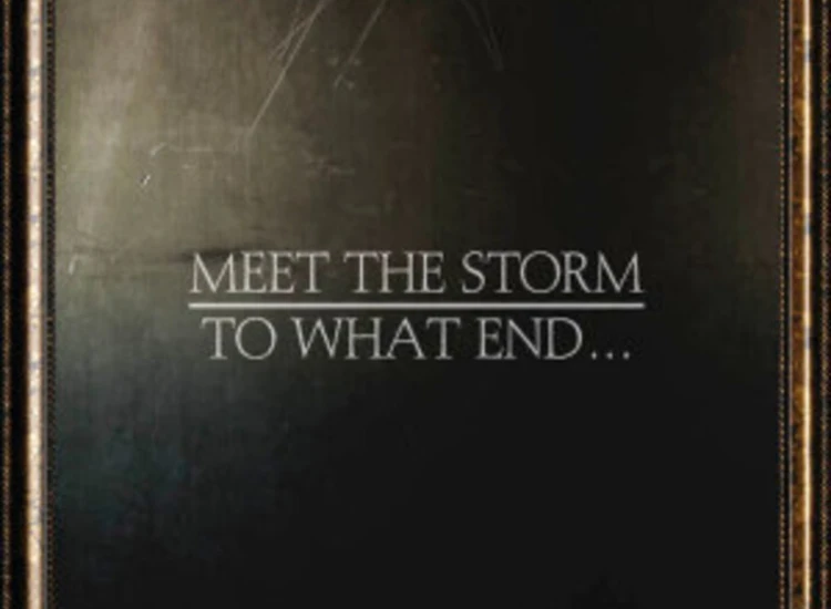 CD Meet The Storm - To What End... ansehen