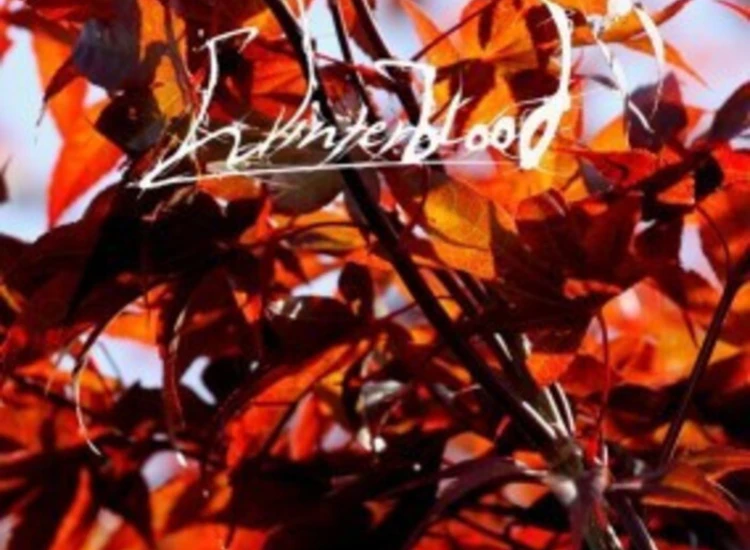 CD, Album Winterblood (2) - Herbstsehnsucht ansehen