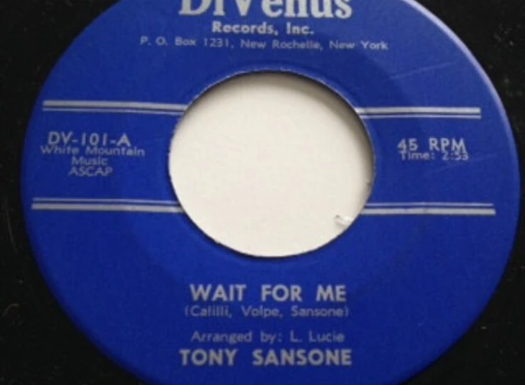 "7"", Single Tony Sansone - Wait For Me" ansehen