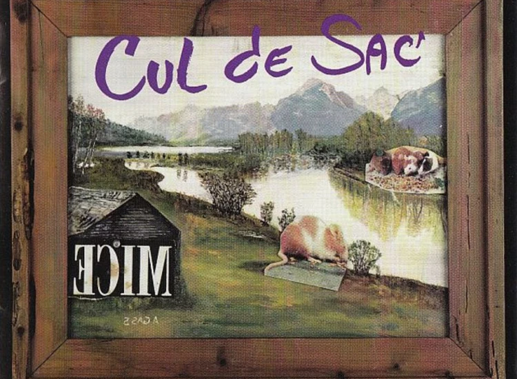 CD, Album, RE, RM Cul de Sac - Ecim ansehen