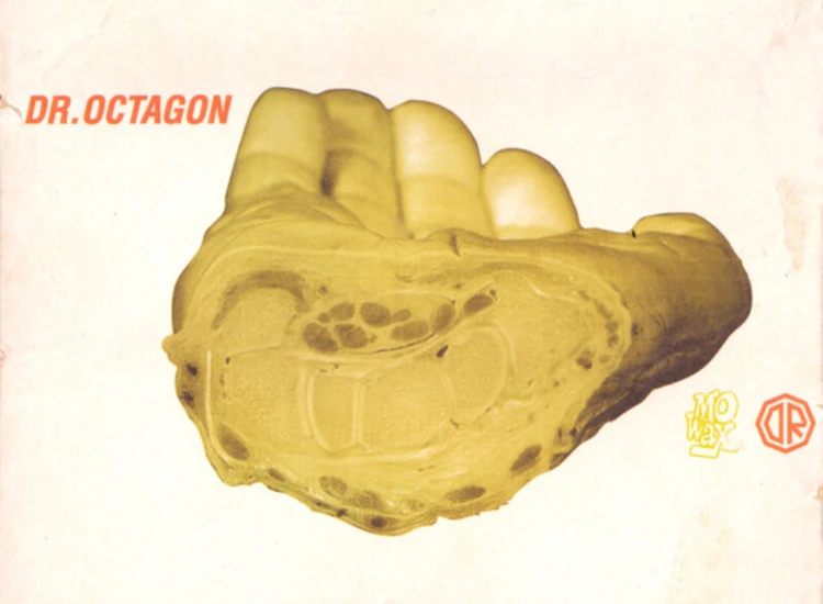 CD, Album Dr. Octagon - Ecologyst ansehen