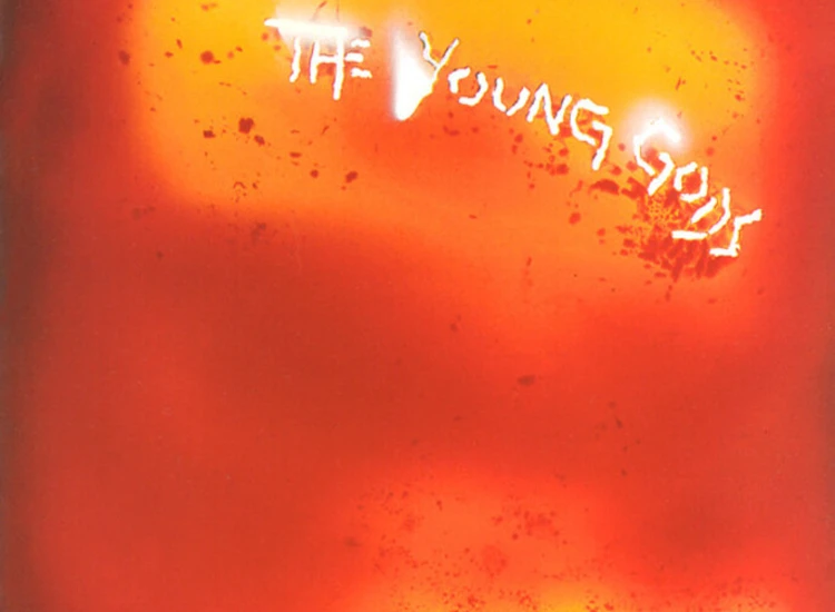 CD, Album The Young Gods - L'Eau Rouge - Red Water ansehen