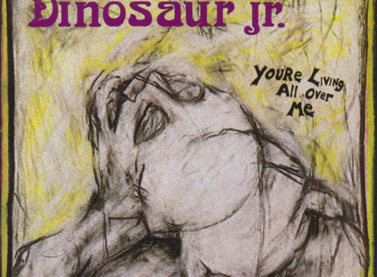 CD, Album Dinosaur Jr. - You're Living All Over Me ansehen