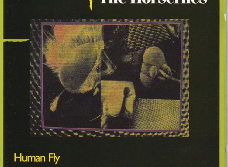 CD, Album The Horseflies - Human Fly ansehen