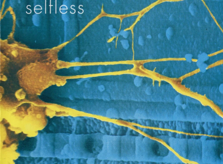 CD, Album Godflesh - Selfless ansehen