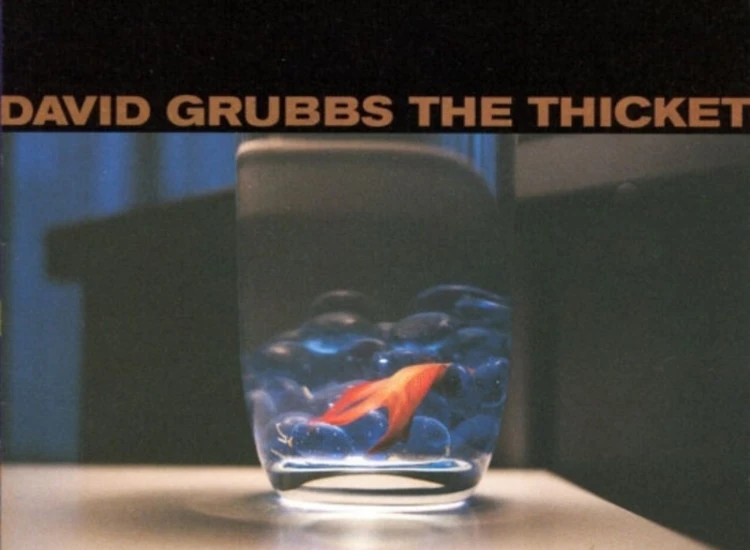 CD, Album David Grubbs - The Thicket ansehen