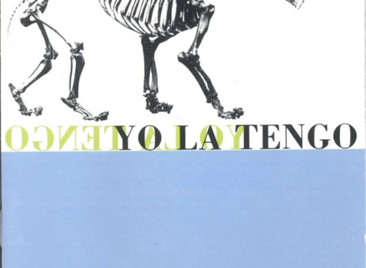 CD, Album Yo La Tengo - Ride The Tiger ansehen