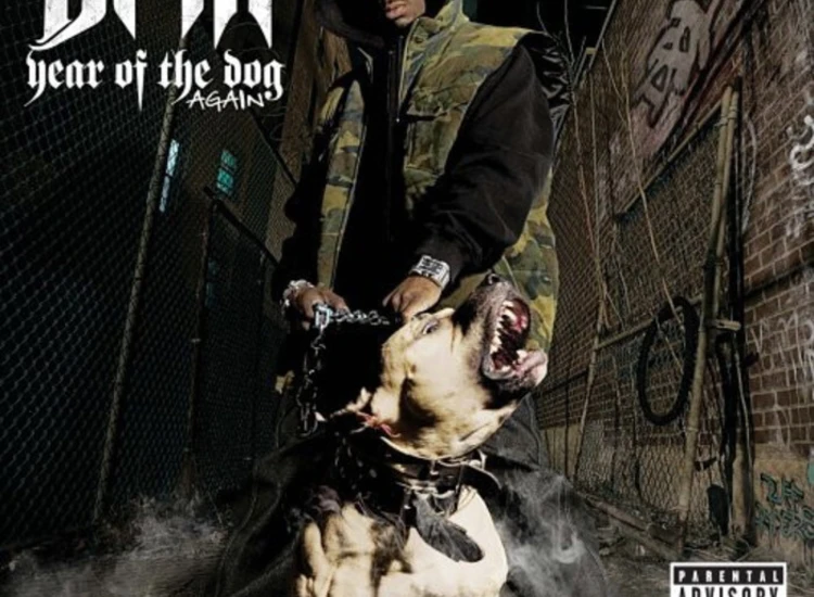 CD, Album + DVD-V, PAL, Bon DMX - Year Of The Dog... Again ansehen