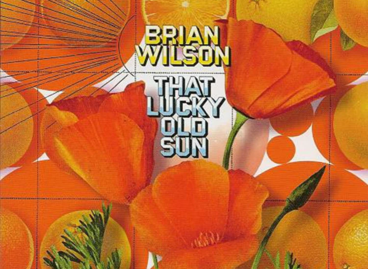 CD, Album Brian Wilson - That Lucky Old Sun ansehen