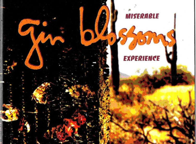 CD, Album Gin Blossoms - New Miserable Experience ansehen