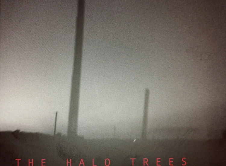 CD, Album, Dig The Halo Trees - Antennas To The Sky ansehen