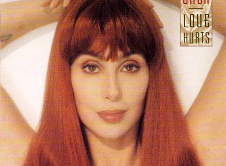 CD, Album Cher - Love Hurts ansehen