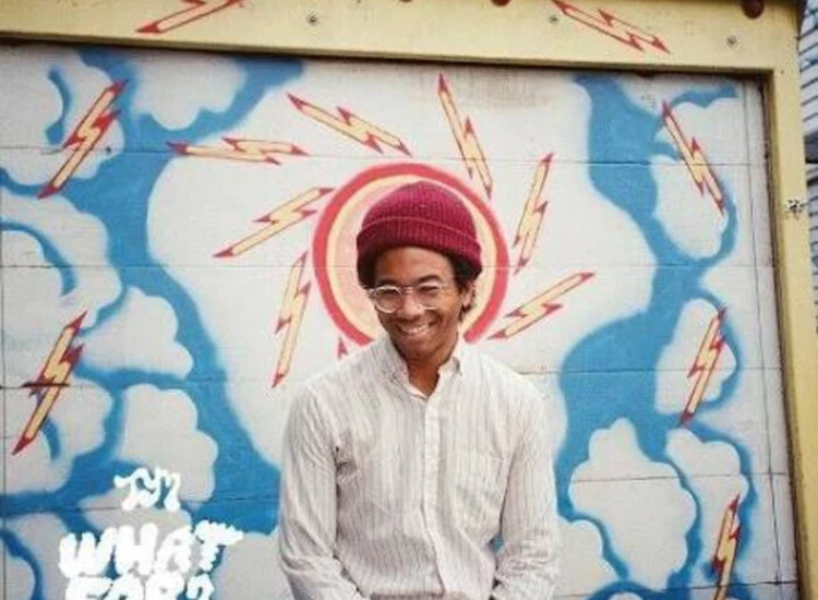 LP, Album Toro Y Moi - What For? ansehen