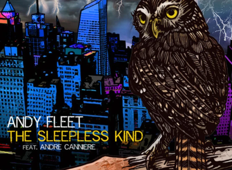 CD, Album Andy Fleet - The Sleepless Kind ansehen