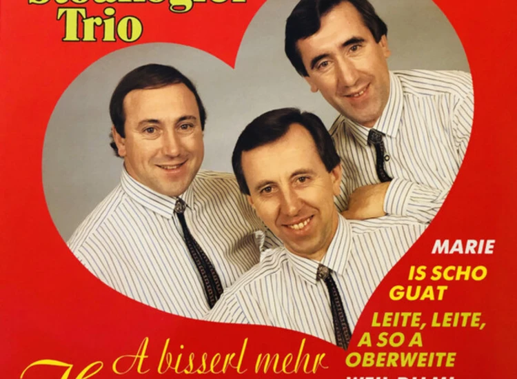 LP, Album Das Stoakogler Trio* - A Bisserl Mehr Herzlichkeit ansehen