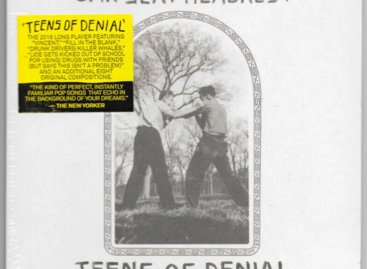 CD, Album Car Seat Headrest - Teens Of Denial ansehen