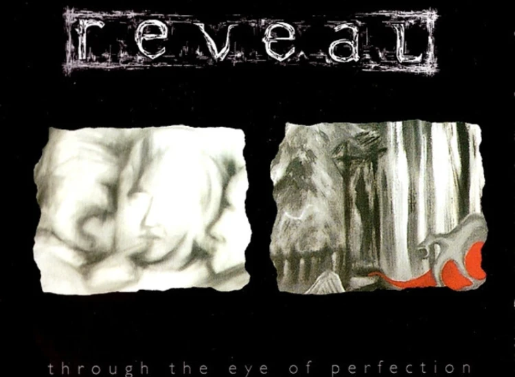 CD, Album Reveal (3) - Through The Eye Of Perfection Evolution Dies Slowly ansehen