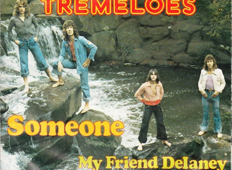 "7"", Single Tremeloes* - Someone" ansehen