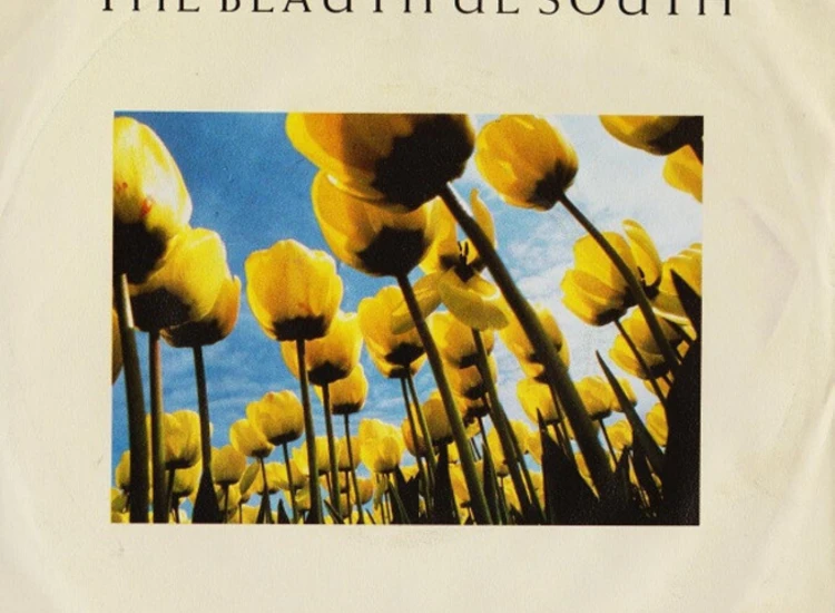 "7"", Single The Beautiful South - Song For Whoever" ansehen