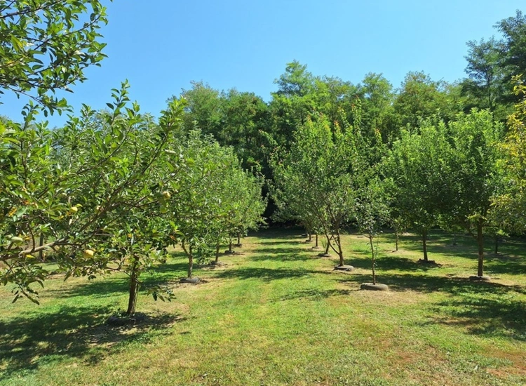 SCHÖNES ANWESEN MIT VIEL GRUND NAHE MARCALI UND DEM BALATON ansehen